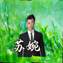 苏婉
